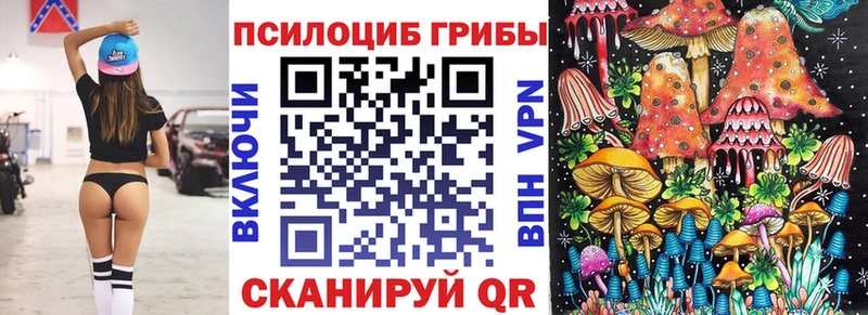 наркота  mega tor  Псилоцибиновые грибы Psilocybe  Муром 