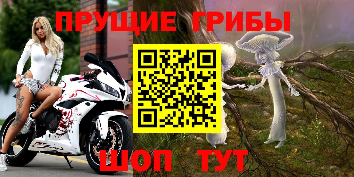 Псилоцибиновые грибы прущие грибы Муром