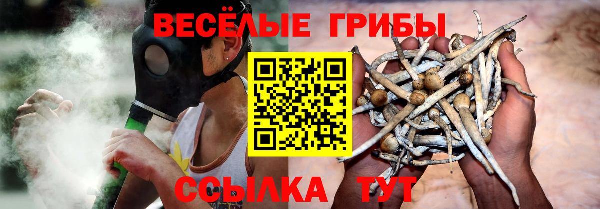 Галлюциногенные грибы MAGIC MUSHROOMS  цена   Псилоцибиновые грибы GOLDEN TEACHER  Муром 
