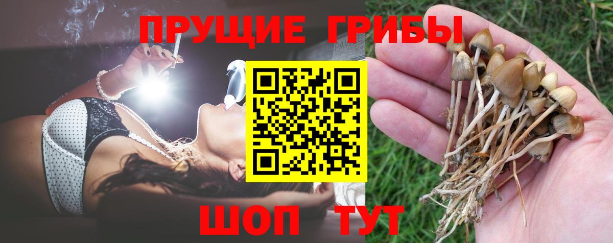 купить закладку  Вход с VPN  Муром  Галлюциногенные грибы мухоморы 